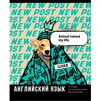 Тетрадь А5  40л " БиДжи " Веселье начинается- Английский язык, клетка, со справочным материалом, на 