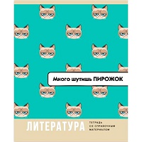 Тетрадь А5  40л " БиДжи " Веселье начинается- Литература, линия, со справочным материалом, на скобе,