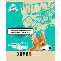 Тетрадь А5  40л " БиДжи " Веселье начинается- Химия, клетка, со справочным материалом, на скобе, обл