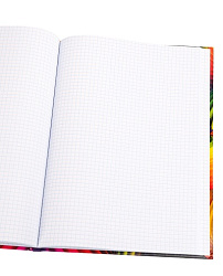 Книга учёта  96л. РАДУЖНЫЕ СПИРАЛИ-1, клетка (96-4634) переплёт 7БЦ, глянц.лам., блок-офсет, 200х298
