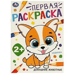 Домашние  животные. Первая раскраска. 210х290 мм. Скрепка. 16 стр. Умка в кор.50шт
