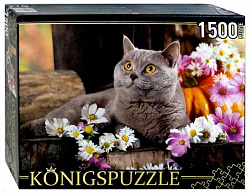 Konigspuzzle. ПАЗЛЫ 1500 элементов. ГИК1500-8478 БРИТАНСКИЙ КОТ