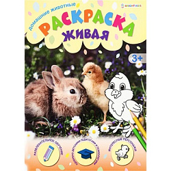 Раскраска А4 ДОМАШНИЕ ЖИВОТНЫЕ (Р-0099) 8л, обл.-целл.карт, уф-лак, бл-офс,полноцв, скрепка, 198х260