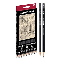 Набор карандашей ч/гр " deVente " Art 12шт, 5Т, 4Т, 3Т, 2Т, Т, ТМ-2, М, 2М, 3М, 4М, 5М, шестигранный