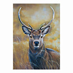Алмазные узоры. Молодой олень. 30*40см арт.07282