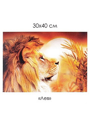 Алмазные узоры. Лев. 30*40см арт.07281