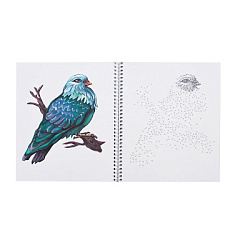 Альбом для рисования РИСУЕМ ОТ ТОЧКИ К ТОЧКЕ А4, 32л ПТИЦЫ, БАБОЧКИ, СТРЕКОЗЫ (32-5999) гребень