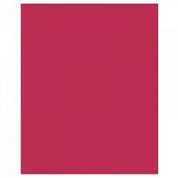 Тетрадь 48л клетка VIVA MAGENTA уф-лак арт.13982 (1/20/60шт)