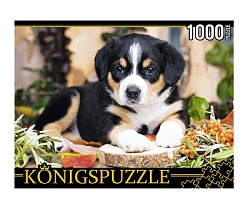 26. Konigspuzzle. ПАЗЛЫ 1000 элементов. ШТK1000-0645 ЩЕНОК ШВЕЙЦАРСКОГО ЗЕННЕНХУНДА