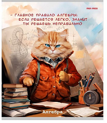 TM Prof-Press Тетрадь КЛЕТКА 48л. АЛГЕБРА «ЖИЛ БЫЛ КОТ» (Т48-1443) стандарт, б/о