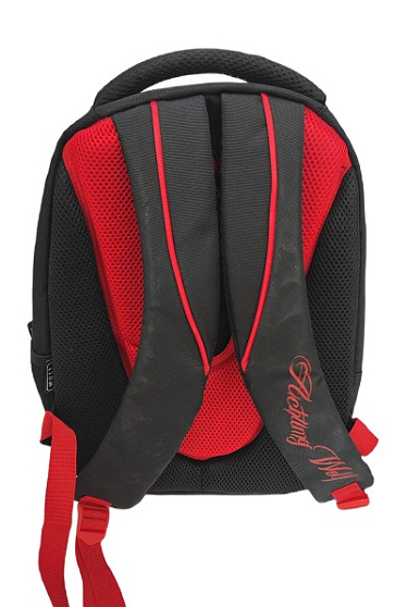 РЮКЗАК  ШКОЛЬНЫЙ  "ACHTUNG  WOLF"