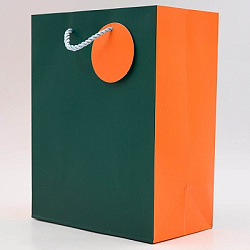 Пакет DUO 26*32*10см арт.9324B (1/12/480шт)