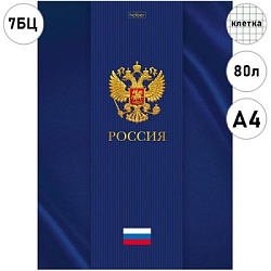 Бизнес-блокнот БОЛЬШОЙ ФОРМАТ А4 7БЦ  80л " Hatber " Россия, клетка, обложка- глянцевый ламинированн