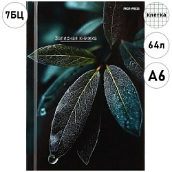 Записная книжка МАЛЫЙ ФОРМАТ А6 7БЦ  64л " Проф-Пресс " Листья- 1, клетка, обложка - глянцевый ламин