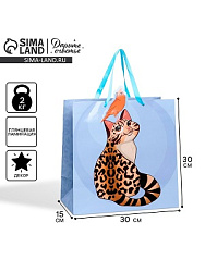 Пакет подарочный, упаковка, «Кот», 30×30×15 см