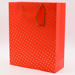 Пакет КЛАССИКА 26*32*10см арт.1114B (1/12/480шт)