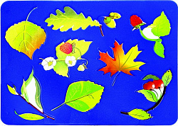 Трафарет-раскраска " Пчелка " Листья, в ассортименте 12 видов