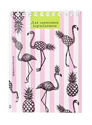 Скетчбук А6, 48л, ФЛАМИНГО-АНАНАС (48-5684), на гребне, жесткая подложка, блок 60г