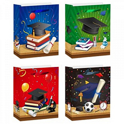 Пакет ШКОЛА 26*32*10см арт.WB-14440M (1/12/480шт)