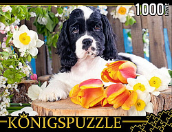 Konigspuzzle. ПАЗЛЫ 1000 элементов. ГИК1000-8238 ЩЕНОК СПАНИЕЛЯ
