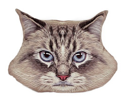 Под Кошка серая мал, 1280-12/35