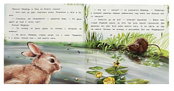 Непослушные малыши. Сладков Н. И. Рассказы о животных. 210х210 мм. Скрепка. 16 стр. Умка в кор.50шт