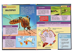 "УМКА". ЖИВОТНЫЕ-ВАМПИРЫ (ЭНЦИКЛОПЕДИЯ А4 С РАЗВИВАЮЩИМИ ЗАДАНИЯМИ). ТВЕРДЫЙ ПЕРЕПЛЕТ в кор.15шт