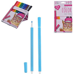 Фломастеры " Bruno Visconti " Easycolor 12цв, шестигранные, вентилируемый колпачок, картонная упаков