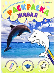 Раскраска А4 МОРСКИЕ ПРИКЛЮЧЕНИЯ (Р-0098) 8л,обл.-целл.карт,уф-лак, бл-офс,полноцв, скрепка, 198х260