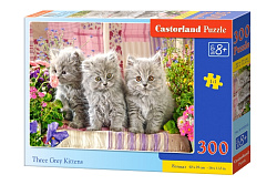 В-030330 Три котенка, 300 деталей, Castor Land