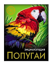ЭНЦИКЛОПЕДИЯ. ХОЧУ ЗНАТЬ. ПОПУГАИ