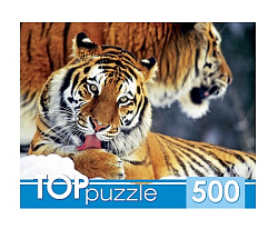 TOPpuzzle. ПАЗЛЫ 500 элементов. КБТП500-6797 Два тигра