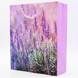 Пакет ЛАВАНДА 26*32*10см арт.3167B (1/12/480шт)