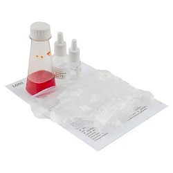 Оп-073 Химические опыты.Пенный вулкан "Красный"