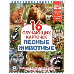 251386   КАРТОЧКИ В ПАПКЕ. "УМКА" ЛЕСНЫЕ ЖИВОТНЫЕ.ОБЪЕМ: 16 КАРТОЧЕК. ФОРМАТ: 167Х218ММ в кор.30шт