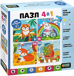 Baby Games. Набор.4в1.9-16-25-36 Эл. Круглый год.06837