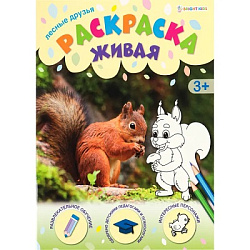 Раскраска А4 ЛЕСНЫЕ ДРУЗЬЯ (Р-0097) 8л, обл.-целл.карт, уф-лак, бл-офс,полноцв, скрепка, 198х260