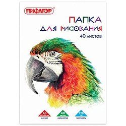 Папка для рисования БОЛЬШОГО ФОРМАТА А3, 40л., 120 г/м2, ПИФАГОР, 297х420мм, Попугай, 129219