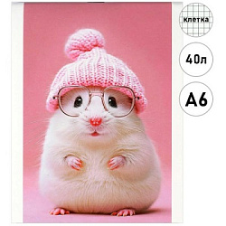 Блокнот МАЛЫЙ ФОРМАТ А6  40л " Феникс " Мышка в шапочке, клетка, обложка - мелованный картон, глянце