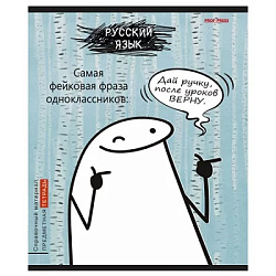 TM Prof-Press Тетрадь ЛИНИЯ 48л. РУССКИЙ ЯЗЫК «Школьные мемасики» (48-9661) стандарт, тиснение холст